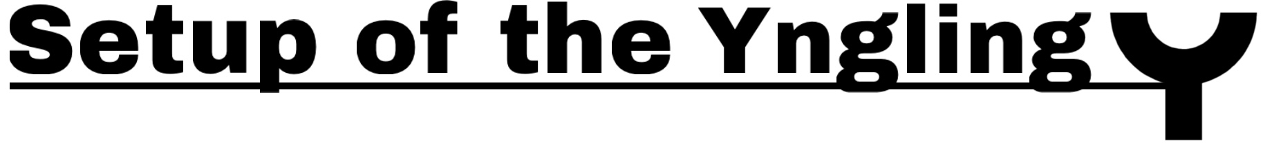 Setup of the Yngling