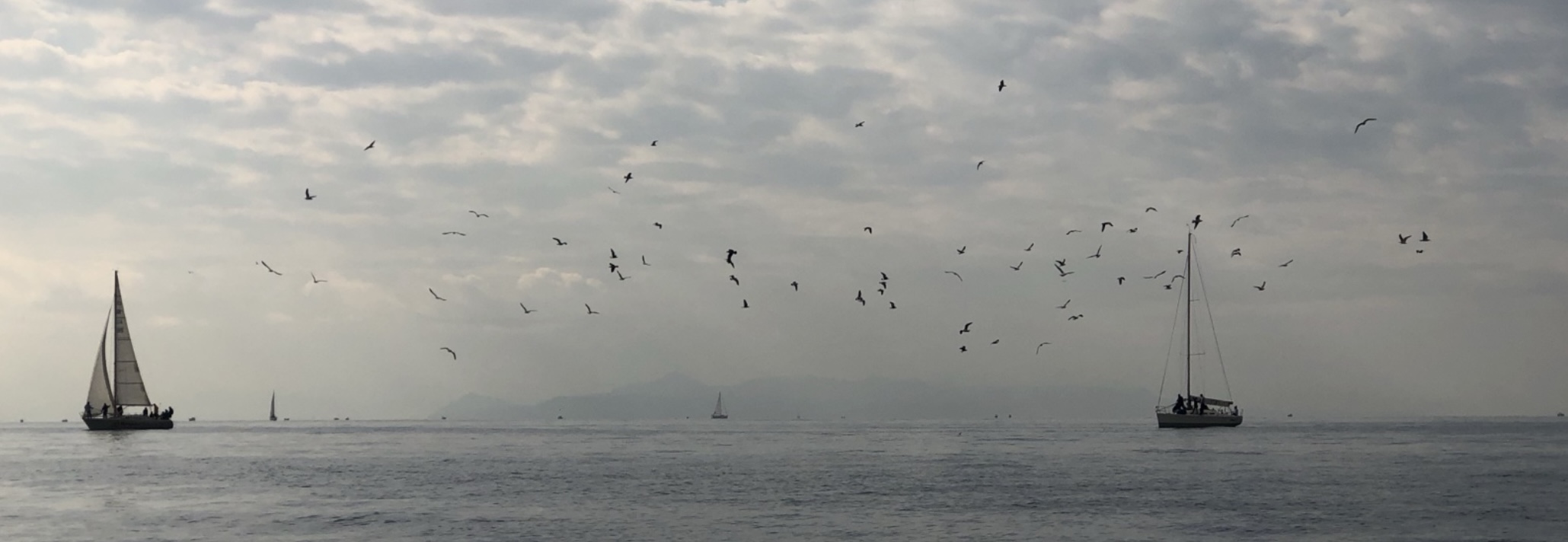 Ήρεμη ιστιοπλοΐα στη θάλασσα